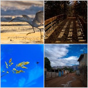 Caminos