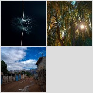 inbound6980978786363161747