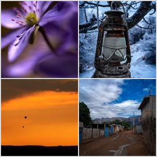 inbound4372168738339089235