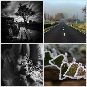 Naucni stezka olšina_B