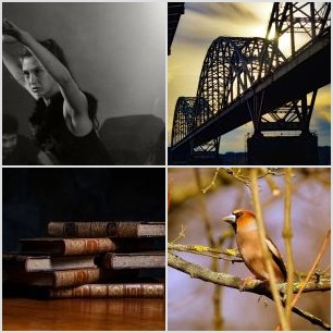 IMG_20250404_134408_512