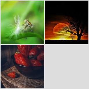 15080273956_81ccd32a23_o