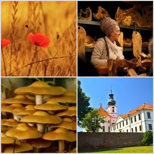 79224970_2625082507545261_7935764811726454784_n