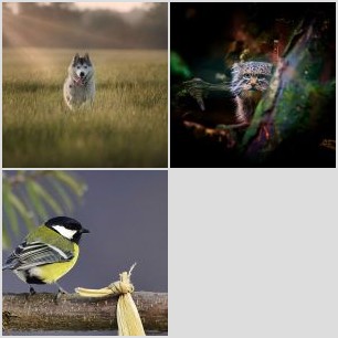 SAM_1256-02