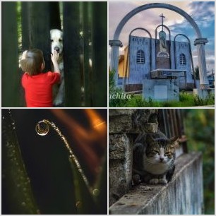 B1681F09-AC2F-415C-A991-6E245B249C9D