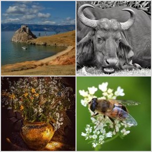 DSC_7246-Eraser_InPixio