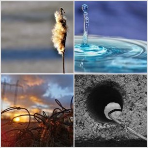 inbound7319508895502518059