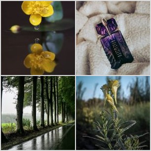 IMG_20220418_154225_647