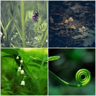 EBF4CD47-9B96-4F1B-9862-1B9A8B4F0F0B