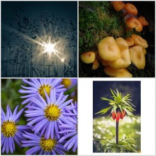 IMG_20210721_134943891