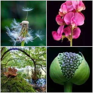 E43E07CC-DF99-4EBD-942E-474F1A7A2B1F