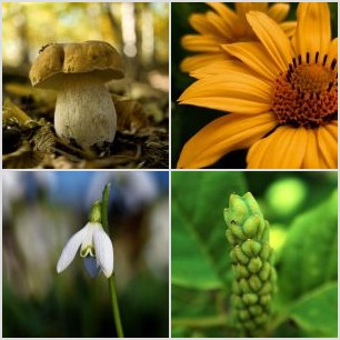 20201115091919_IMG_5601