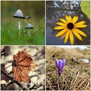 inbound5246308180280509998