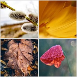 inbound519234725899275875