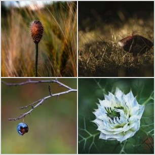 E43E07CC-DF99-4EBD-942E-474F1A7A2B1F