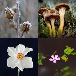 inbound6746929137664986946