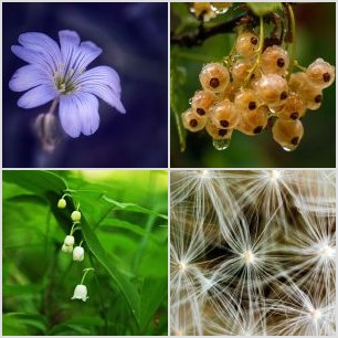 Na pobliskiej łące