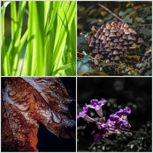 inbound5822859865207960840