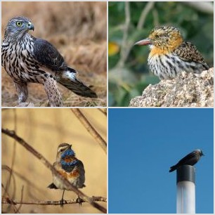 68EBB7D5-1533-4E97-99A0-FBECB4B2C248