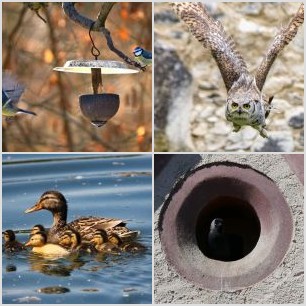 F51142D5-E28F-451B-AF7E-D1BB8388FFA6