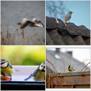 inbound6291311896191830396