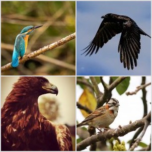 1799AF74-F01F-444F-887A-8C2C19F36640