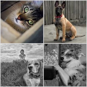 ttDAv-RkNIILXkS4er8-_lBqSc_HPDlqnOUSt4_V0s7PTz-01