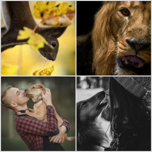 inbound4794556395746453099