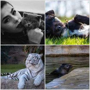 Úžasný Max a sníh