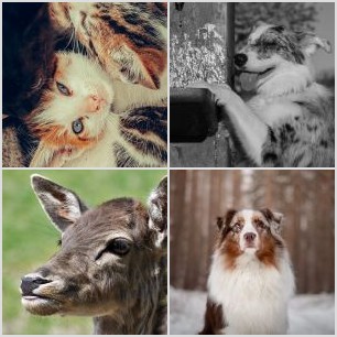 received_265292608514250