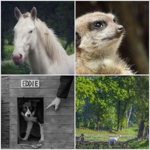 4A6C23FC-41B2-4BD5-90D4-E6DF56C307A2