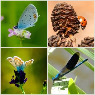 _MG_6610meg_filtered