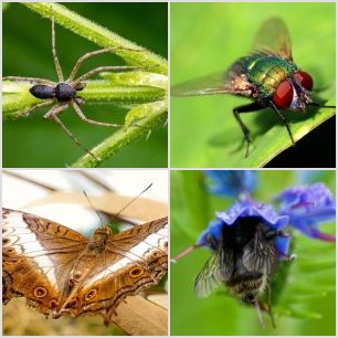 inbound379401344264261475