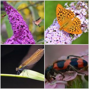 _MG_7134kopie meg_filtered