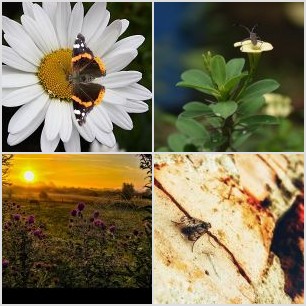 10-07-2021 16-35-02_0002