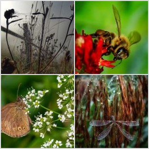 inbound1450217319957498180