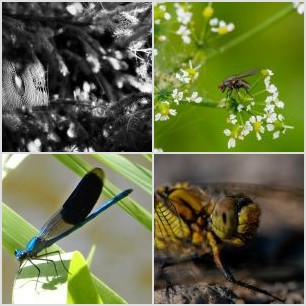 3QVjc-kk67qdi55hkwfcowmn3hsi4u-01