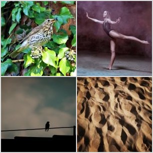 Polish_20220511_131119289