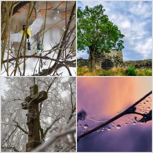 LeverdeSoleilMéditerranéen