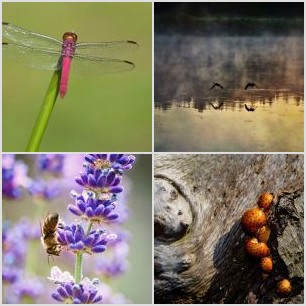 HipstamaticPhoto-714316900.549932