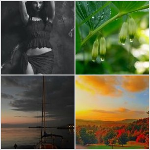 IMG_20201220_140831_522