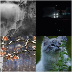 Чернобелое настроение/Black and white mood