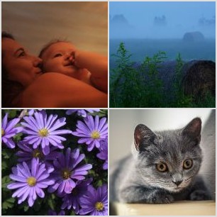 6259C2C3-077E-4187-A722-3DF020C1B9B9