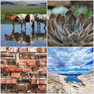 IMG_20230603_113434-01