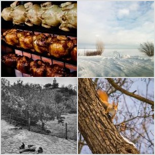 20210815131504_IMG_2277~2