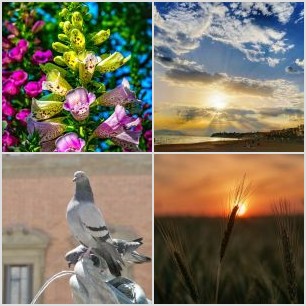 alexander-krivitskiy-4VK3ZjD1VIs-unsplash