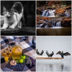 received_455578042444363