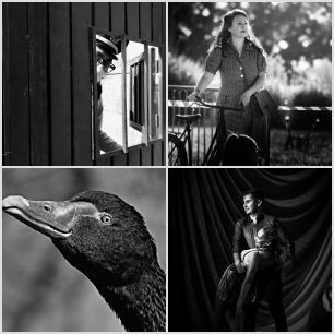 inbound4302139382323001811