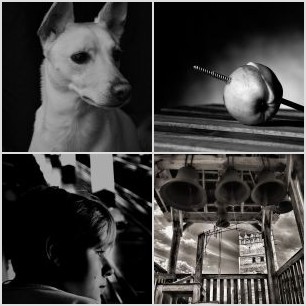 inbound3697348373684577235