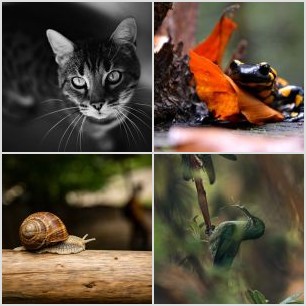 inbound3455433983074832509